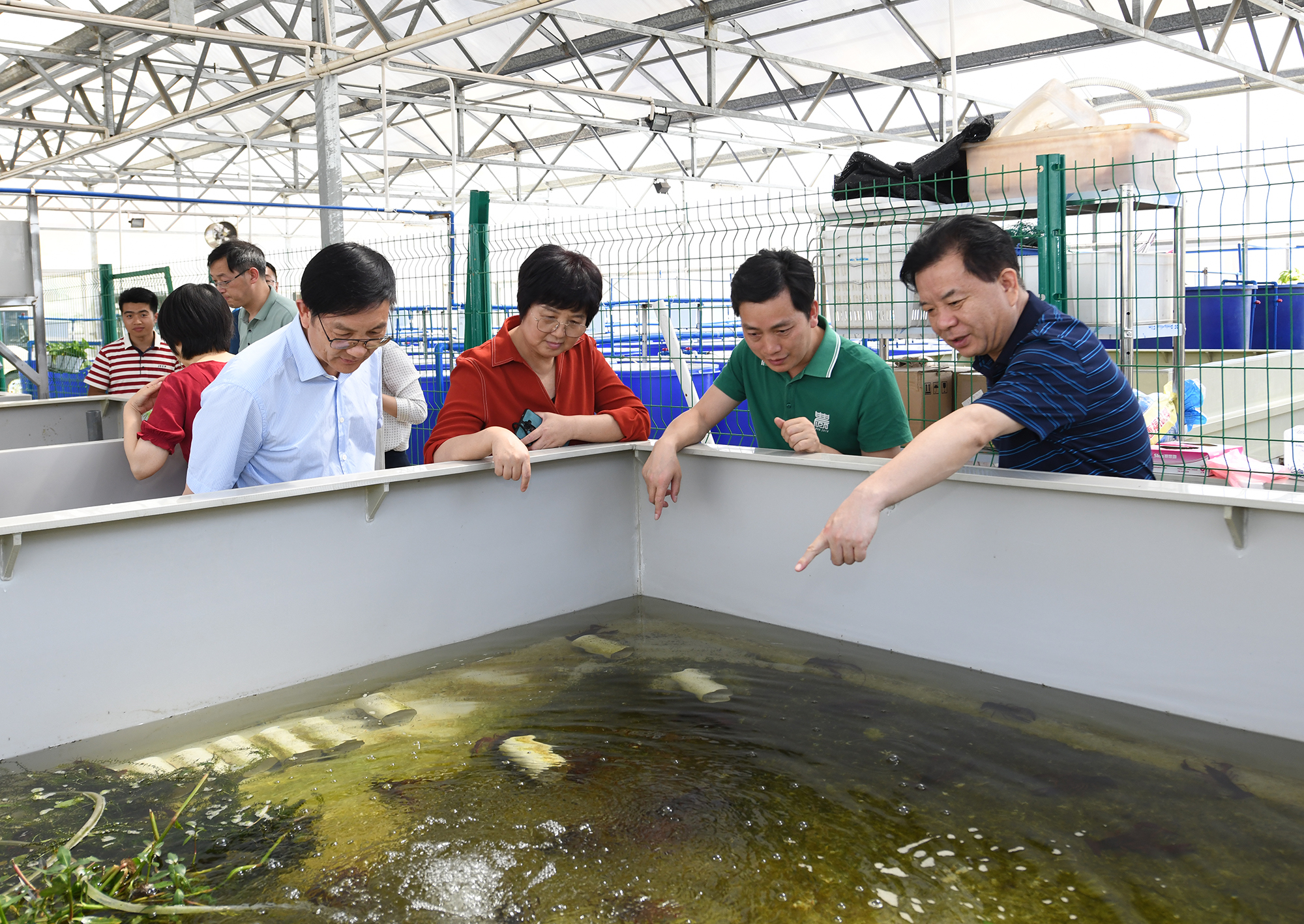 王玲一行调研437437必赢国际网址教学科研基地，查看小龙虾养殖情况（记者 刘涛 摄）